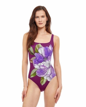 Wildflower Multi plum