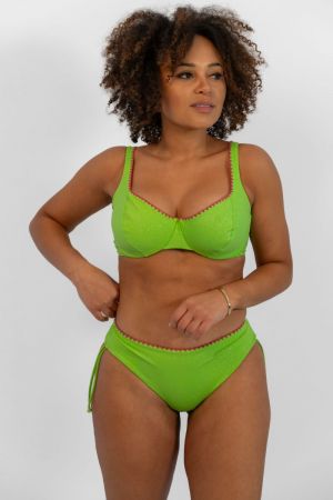 Fresh Lime