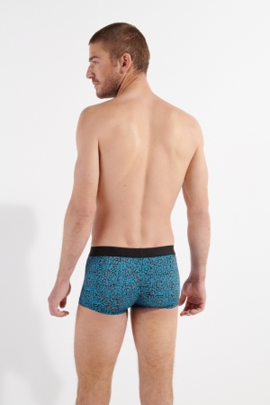 Colin Turquoise print