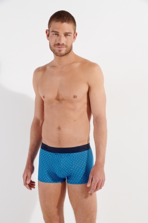Cameron Blue print