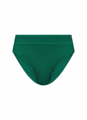 Fresh green Fresh green