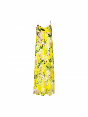 Jardin Delice Soleil delice