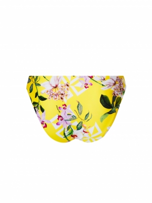 Jardin Delice Soleil delice