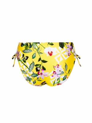 Jardin Delice Soleil delice