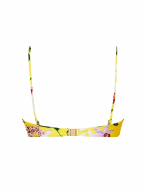 Jardin Delice Soleil delice