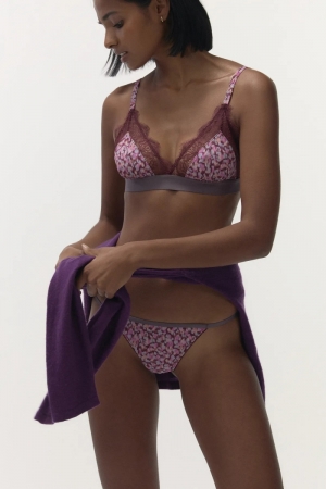 Wild Rose Burgundy