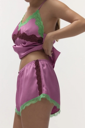 Apollo Purple