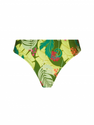 La Venus Nature Vert tropic