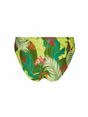 La Venus Nature Vert tropic