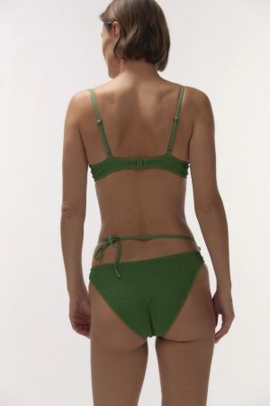 Coral Green