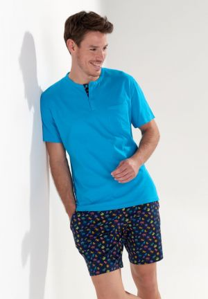 California Multico print