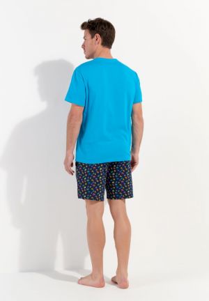 California Multico print