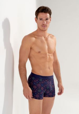 Spectra Navy print