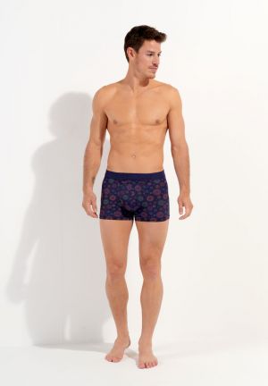 Spectra Navy print