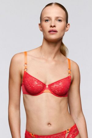 LOVELACE HIB hibiscus