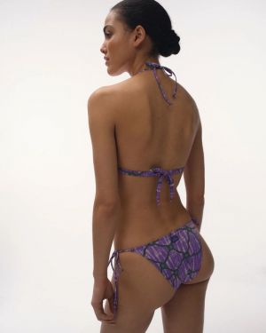 Carly Purple