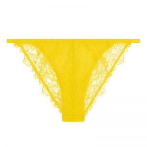 Wild Rosie Yellow