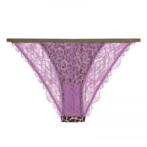 Wild Rose Leopard