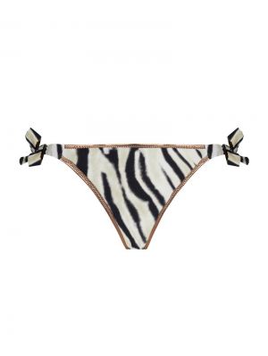 La tigre blanc Tigre bronze