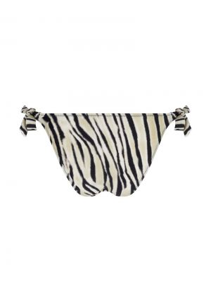 La tigre blanc Tigre bronze