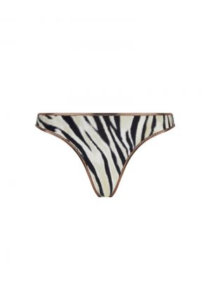 La tigre blanc Tigre bronze