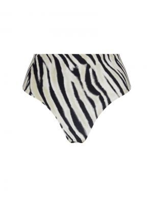 La tigre blanc Tigre bronze
