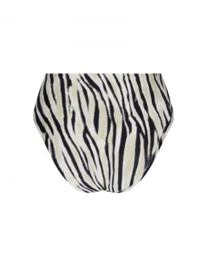 La tigre blanc Tigre bronze