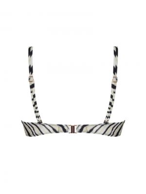 La tigre blanc Tigre bronze