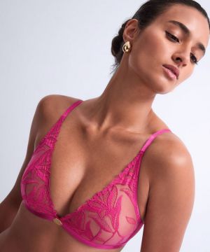 Sweet euphoria Passion rose