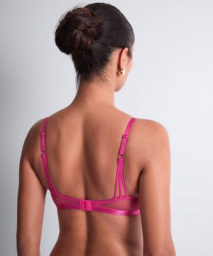 Sweet euphoria Passion rose