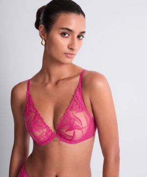 Sweet euphoria Passion rose