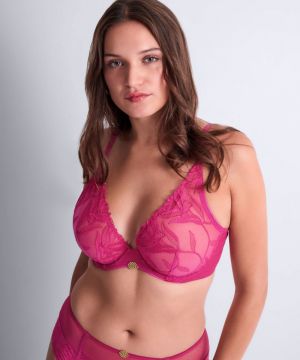 Sweet euphoria Passion rose