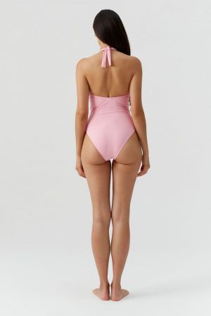 Tampa Rose