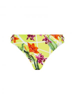 Fleurs splendeur Splendeur lime