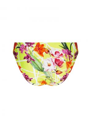 Fleurs splendeur Splendeur lime