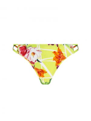 Fleurs splendeur Splendeur lime