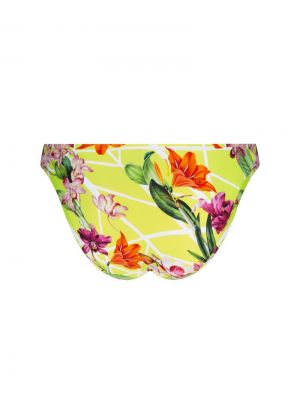 Fleurs splendeur Splendeur lime