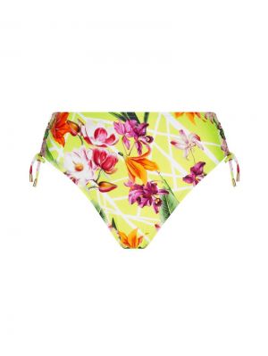 Fleurs splendeur Splendeur lime