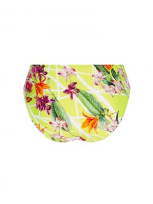 Fleurs splendeur Splendeur lime