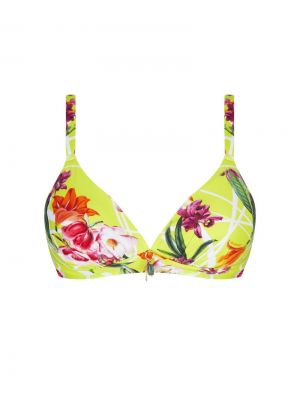 Fleurs splendeur Splendeur lime