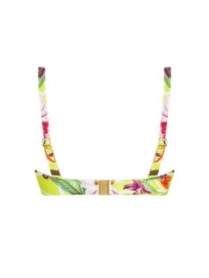 Fleurs splendeur Splendeur lime