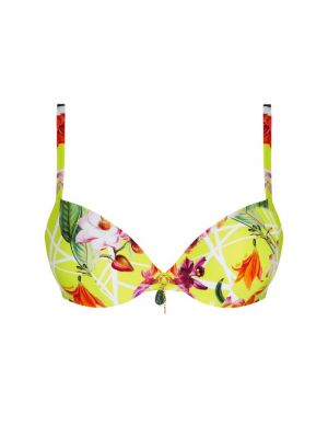 Fleurs splendeur Splendeur lime