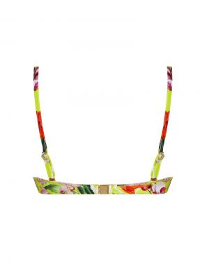 Fleurs splendeur Splendeur lime