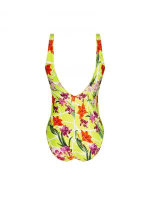 Fleurs splendeur Splendeur lime