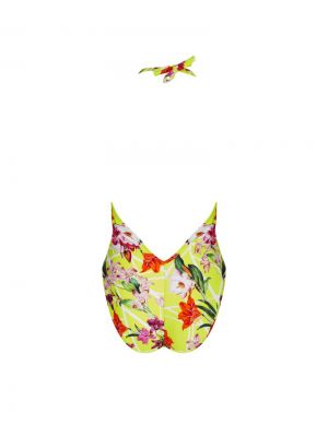 Fleurs splendeur Splendeur lime