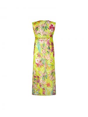 Fleurs splendeur Splendeur lime